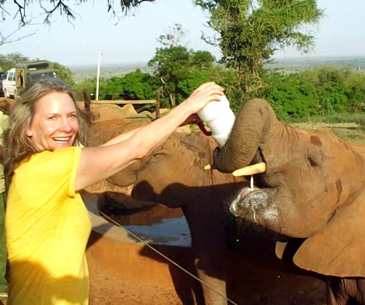 Seven Things I Love About Elephants & African Elephant Rescue Project (videos!)