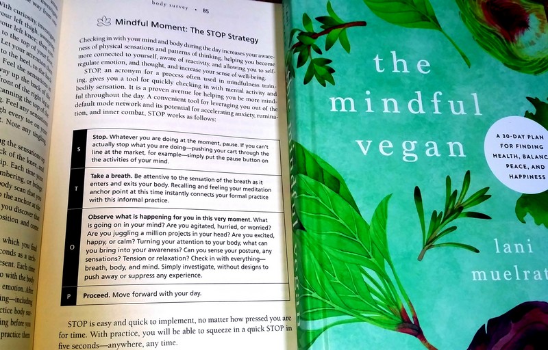 How Kathy Took Control of Pizza Cravings Using the S.T.O.P. Strategy From The Mindful Vegan Book