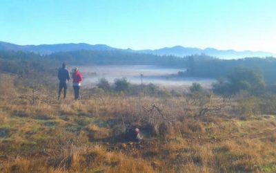 New year, new home in the Sonoma Mountains (video)