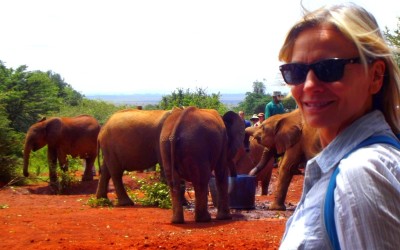 Safari Africa. Elephant orphanage. Life changing.