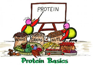 Where do you get your protein?  The plant-based diet answer